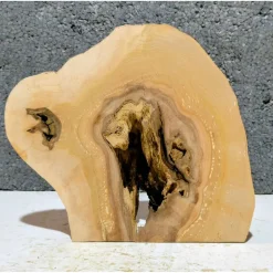 Biete hier eine halbe Baumscheibe, Holzscheibe gestockte Erle an