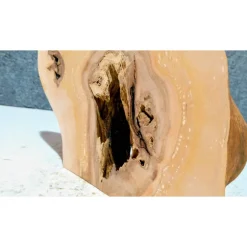 Biete hier eine halbe Baumscheibe, Holzscheibe gestockte Erle an