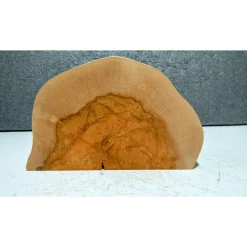 Biete hier eine halbe Baumscheibe, Holzscheibe, gestockte Birke an