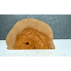 Biete hier eine halbe Baumscheibe, Holzscheibe, gestockte Birke an