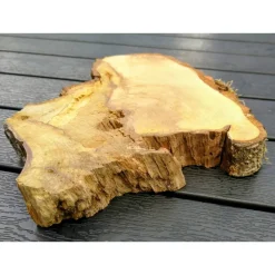 Bruchstück,Baumscheibe, Holzscheibe,Gestockt,Erle,Holz, Bastelholz, Holzdeko, Dekoration,Holz