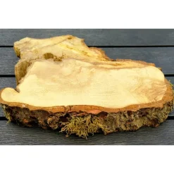Bruchstück,Baumscheibe, Holzscheibe,Gestockt,Erle,Holz, Bastelholz, Holzdeko, Dekoration,Holz