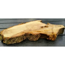 Bruchstück,Baumscheibe, Holzscheibe,Gestockt,Erle,Holz, Bastelholz, Holzdeko, Dekoration,Holz