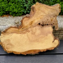 Bruchstück,Baumscheibe, Holzscheibe,Gestockt,Erle,Holz, Bastelholz, Holzdeko, Dekoration,Holz