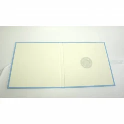 CD Hülle Hochzeit It`s love Goldprägung