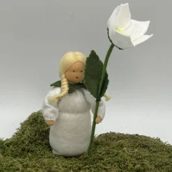 Christrose - Jahreszeitentisch  - Winter - Blumenkinder - Weihnachtsdeko