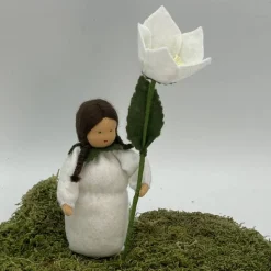 Christrose - Jahreszeitentisch  - Winter - Blumenkinder - Weihnachtsdeko