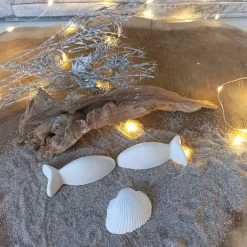 Deko Fische, Fisch mit Namen, Fisch Raysin, Fische Raysin, Fisch Kommunion Raysin, Konfirmation Deko, Raysin Fische