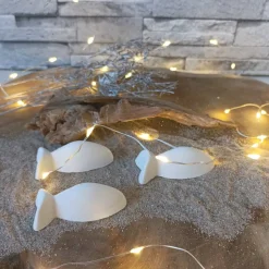 Deko Fische, Fisch mit Namen, Fisch Raysin, Fische Raysin, Fisch Kommunion Raysin, Konfirmation Deko, Raysin Fische