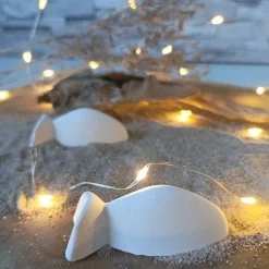 Deko Fische, Fisch mit Namen, Fisch Raysin, Fische Raysin, Fisch Kommunion Raysin, Konfirmation Deko, Raysin Fische