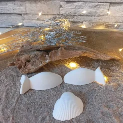 Deko Fische, Fisch mit Namen, Fisch Raysin, Fische Raysin, Fisch Kommunion Raysin, Konfirmation Deko, Raysin Fische