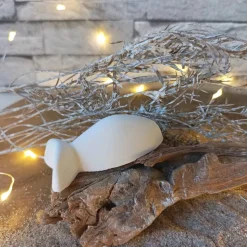 Deko Fische, Fisch mit Namen, Fisch Raysin, Fische Raysin, Fisch Kommunion Raysin, Konfirmation Deko, Raysin Fische