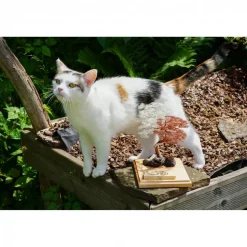 Drahtbaum, Verlobung Geschenk personalisierbar - einzigartiges Verlobungsgeschenk - Hochzeitsgeschenk aus Holz und Draht