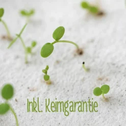 Einpflanzbare Karte zu Ostern aus Samenpapier | nachhaltige Geschenke | Grußkarte zu Ostern