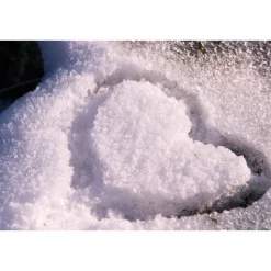 Eisige Grüsse Klappkarte A6