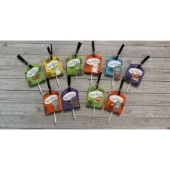 10er Set Goodies / Gastgeschenke zu Halloween oder für einen Geburtstag inkl. Lutscher / Lolli, Mitbringsel, Handarbeit