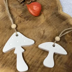 2er Set Pilze - Herbstdeko aus Raysin
