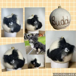 Filzkugel mit Tierporträt 3-D Porträt Tierabbildung