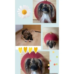 Filzkugel mit Tierporträt 3-D Porträt Tierabbildung