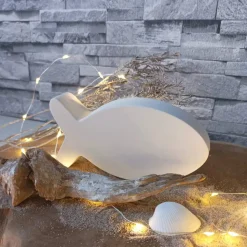 Fisch Deko aus Raysin – Maritime Eleganz für dein Zuhause & persönliche Geschenke
