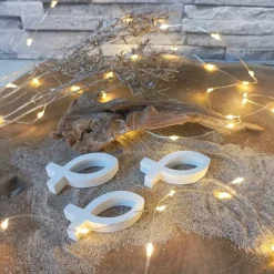 Fischdeko, Fische Deko, Fisch Raysin, Fische Raysin, Fisch Kommunion Raysin, Konfirmation Deko, Raysin Fische, Kommunion