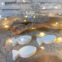 Fische Deko, Fisch mit Namen, Fisch Raysin, Fische Raysin, Fisch Kommunion Raysin, Konfirmation Deko, Raysin Fische