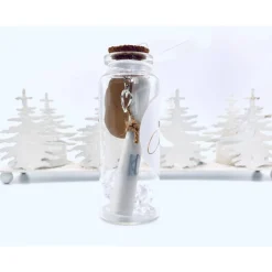 Flaschenpost Kollegin Geschenk für Weihnachten, Karte, beste Kollegin der Welt