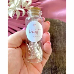 Flaschenpost Patentante Geschenk, beste Patentante der Welt, Geschenk Patin, Trockenblumen,