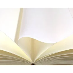 Fotoalbum Querformat Chiyogami *Kraniche 2*