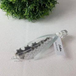 Gastgeschenk mit 5 Seifensterne i. Reagenzglas - CHRISTROSE - GRAU, Weihnachtsgeschenk, Kundengeschenk, Schafmilchseife