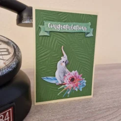 Geburtstagskarte / Papagei / Wald / Papagei Geburtstagsmotiv / Geburtstagskarte mit Papagei / Papagei Geburtstagskarte