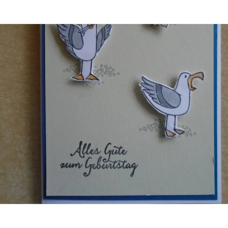 Geburtstagskarte Glückwunschkarte Seemöwen Maritim Geburtstag  Grußkarte