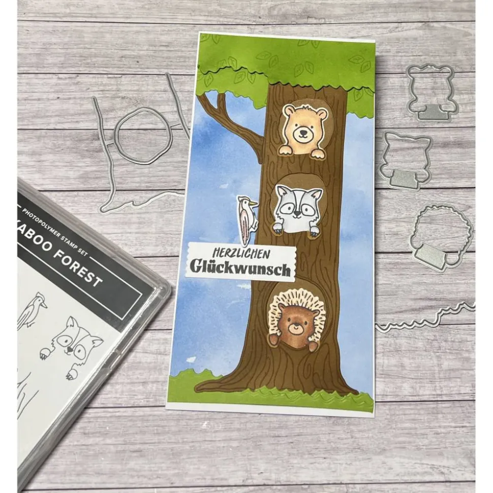 Geburtstagskarten „Herzlichen Glückwunsch“ Glückwunschkarten Grußkarten Karten Kinder Waldtiere Tiere Bär Waschbär Igel