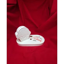 Geburtstatgsüberrschung