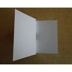 Geldgeschenk Firmung Mädchen  Reagenzglas Geldverpackung Wunscherfüller  Geschenkidee Geschenkverpackung Taube