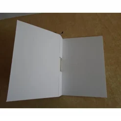 Geldgeschenk  Geburtstag Reagenzglas Verpackung Geldverpackung Wunscherfüller Geburtstagsgeschenk Geschenkidee