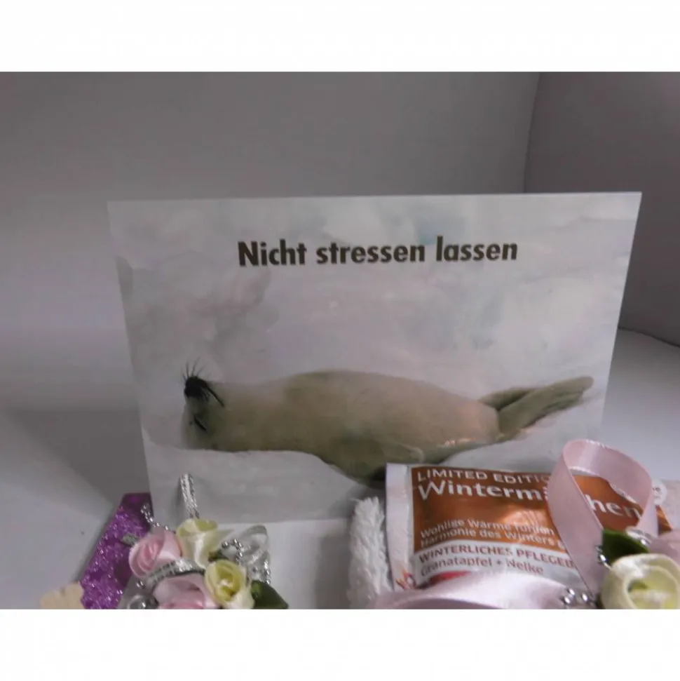 Geldgeschenk Geburtstag: Wellness Gutschein & kreative Verpackung mit Robben-Postkarte