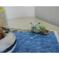 Geldgeschenk Hochzeit Strand Meer Schlauchboot – Kreative Geschenkidee im SaBienchenshop