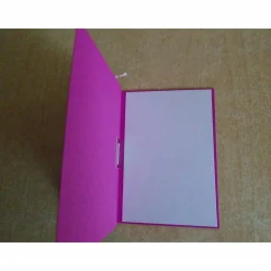 Geldgeschenk  Kommunion Mädchen Fisch Reagenzglas Verpackung Geldverpackung Wunscherfüller Pink Geschenk