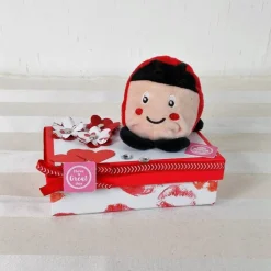 Geldgeschenk Marienkäfer, Glückskäfer, lustig, Geburtstagsgeschenk