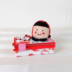 Geldgeschenk Marienkäfer, Glückskäfer, lustig, Geburtstagsgeschenk