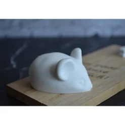 Geldgeschenk Maus aus Gips