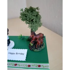 Geldgeschenk Reiten Reiterin Pferde – Originelle Geschenkidee zum Geburtstag & Jugendweihe