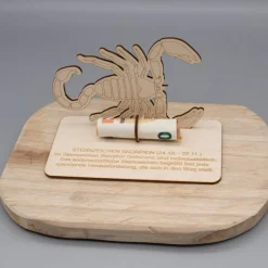 Geldgeschenk Skorpion