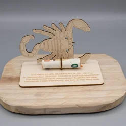 Geldgeschenk Skorpion
