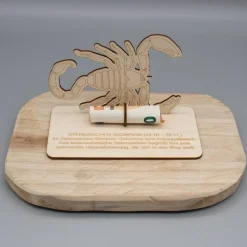 Geldgeschenk Skorpion