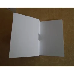 Geldgeschenk Weihnachten Elch  Reagenzglas Geldverpackung Wunscherfüller Weihnachtsgeschenk Geschenkidee Geschenk