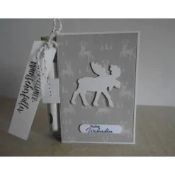 Geldgeschenk Weihnachten Elch  Reagenzglas Geldverpackung Wunscherfüller Weihnachtsgeschenk Geschenkidee Geschenk