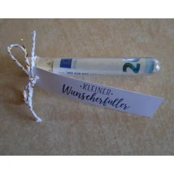 Geldgeschenk Weihnachten Elch  Reagenzglas Geldverpackung Wunscherfüller Weihnachtsgeschenk Geschenkidee Geschenk