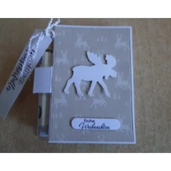 Geldgeschenk Weihnachten Elch  Reagenzglas Geldverpackung Wunscherfüller Weihnachtsgeschenk Geschenkidee Geschenk